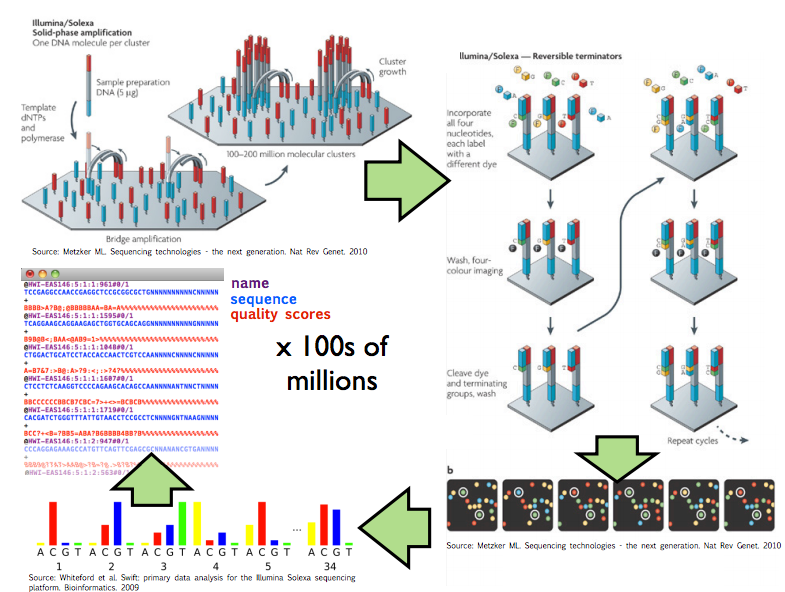 raw-and-processed-data